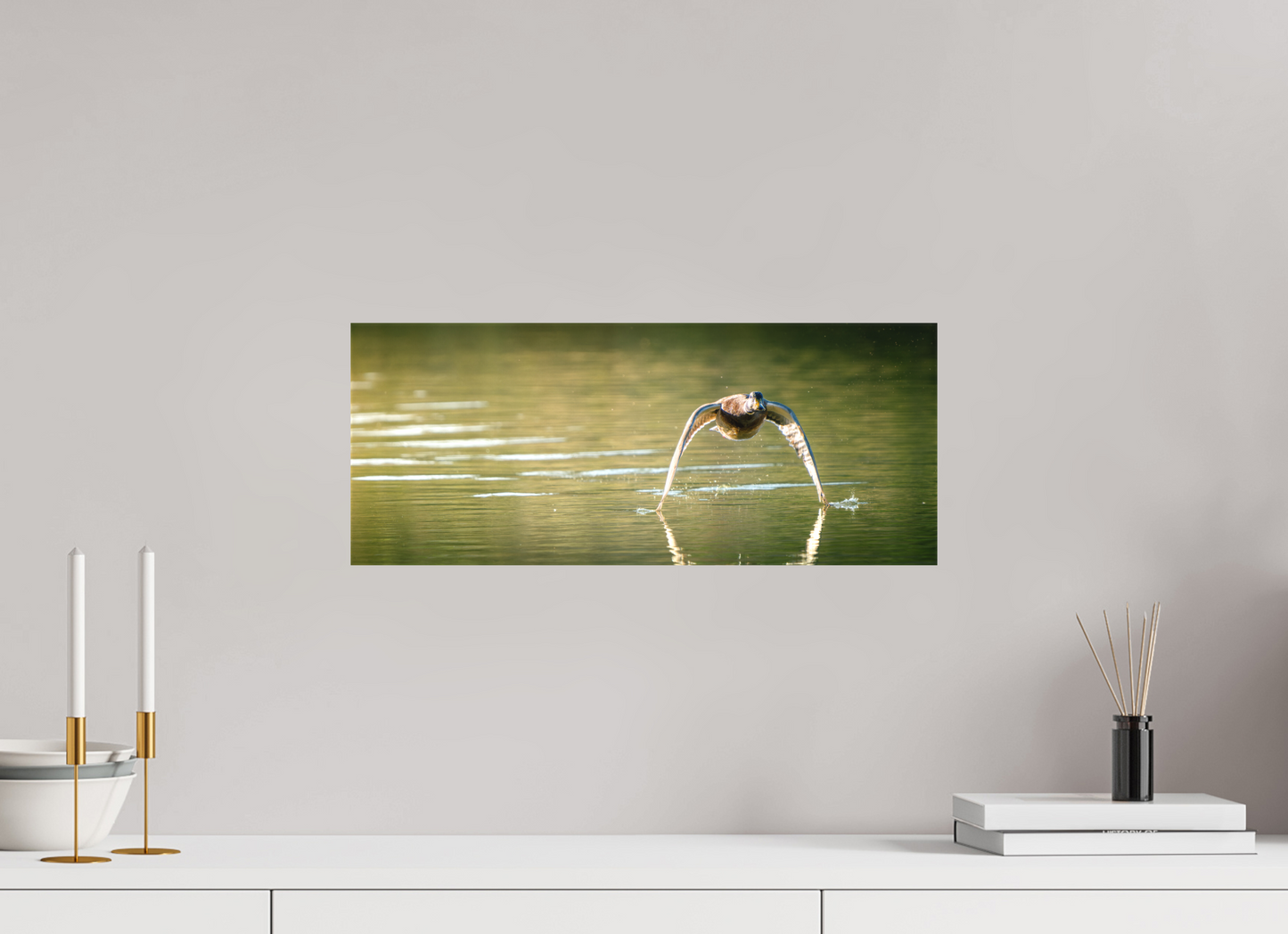 canard Colvert | tel un catamaran