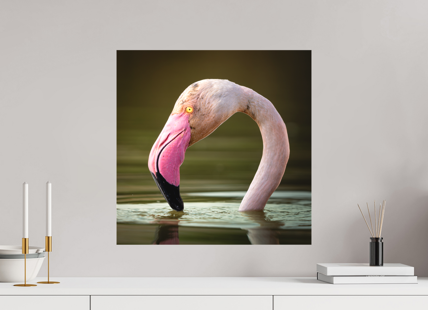 Flamant Rose | le flamant d'eau