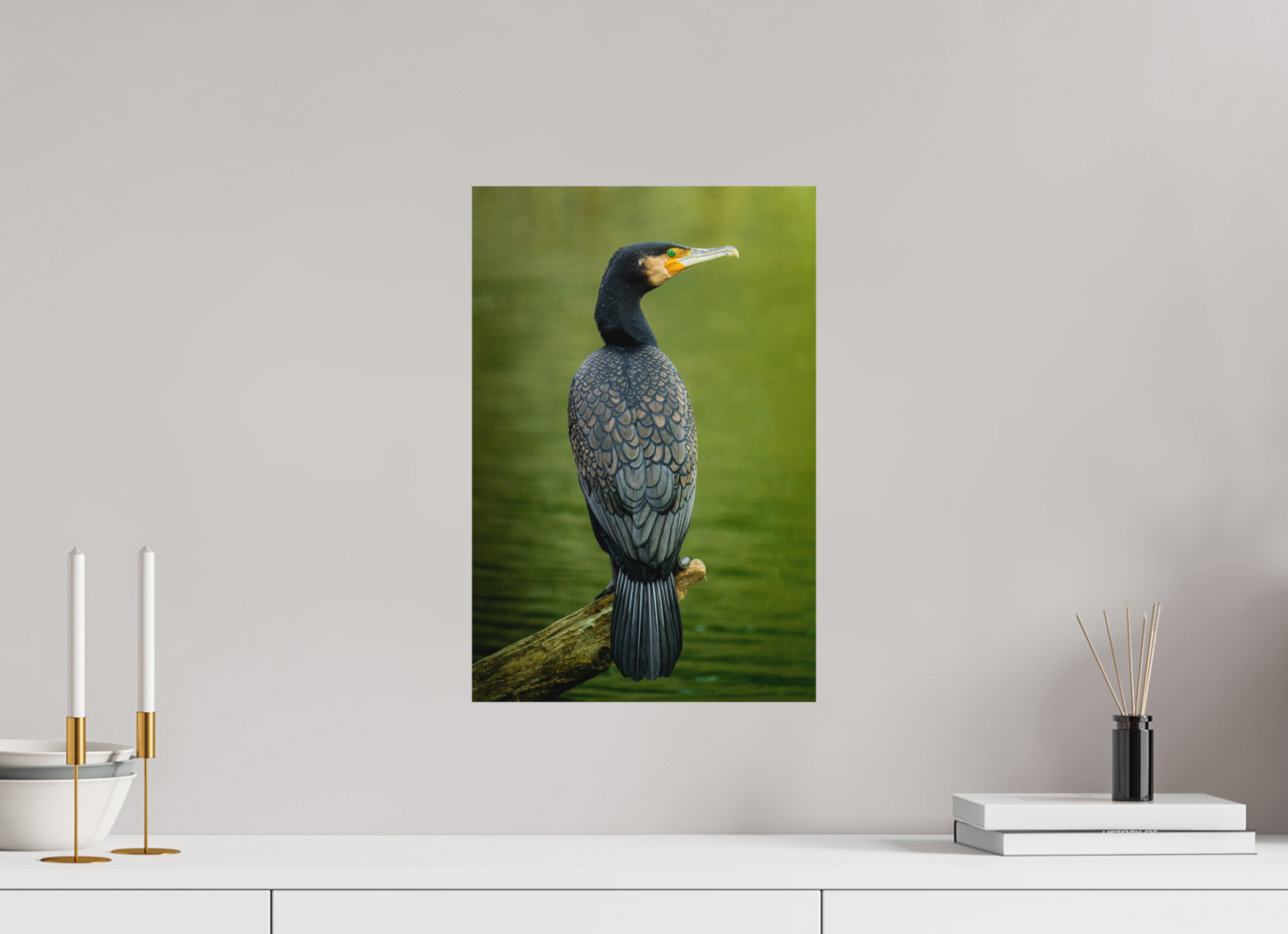 Plumage d'Ardoise