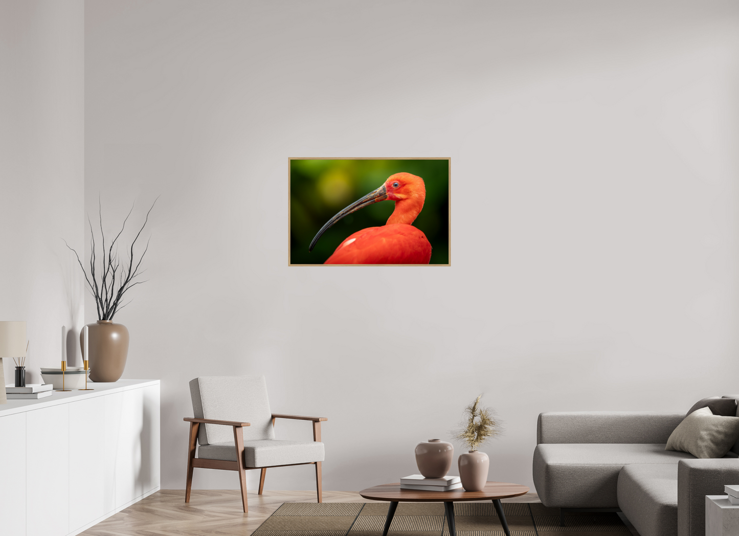 Ibis Rouge | un rouge écarlate
