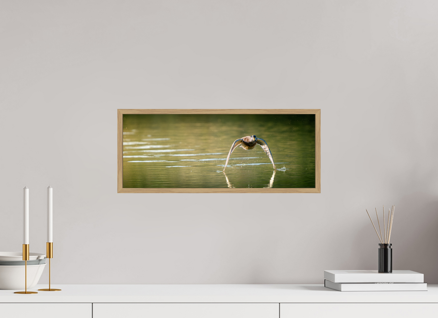 canard Colvert | tel un catamaran