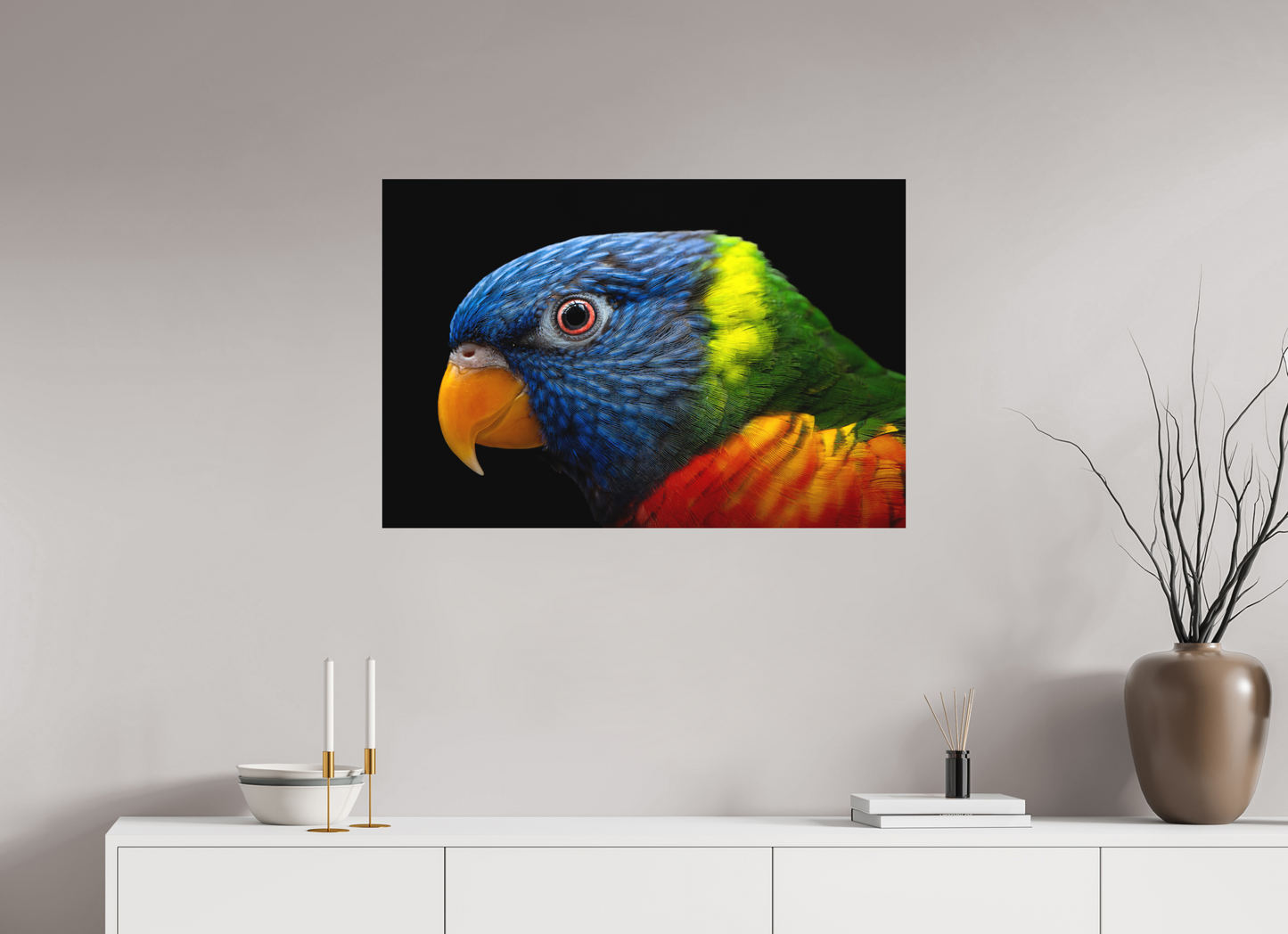 Loriquet arc-en-ciel | l'oiseau multicolore