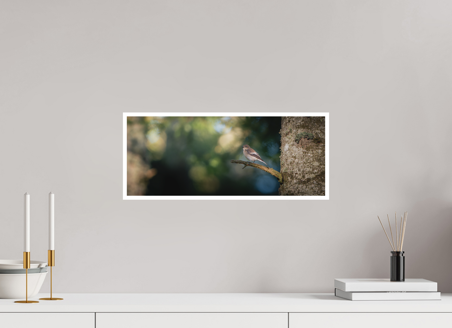 Gobemouche noir | seul sur son arbre