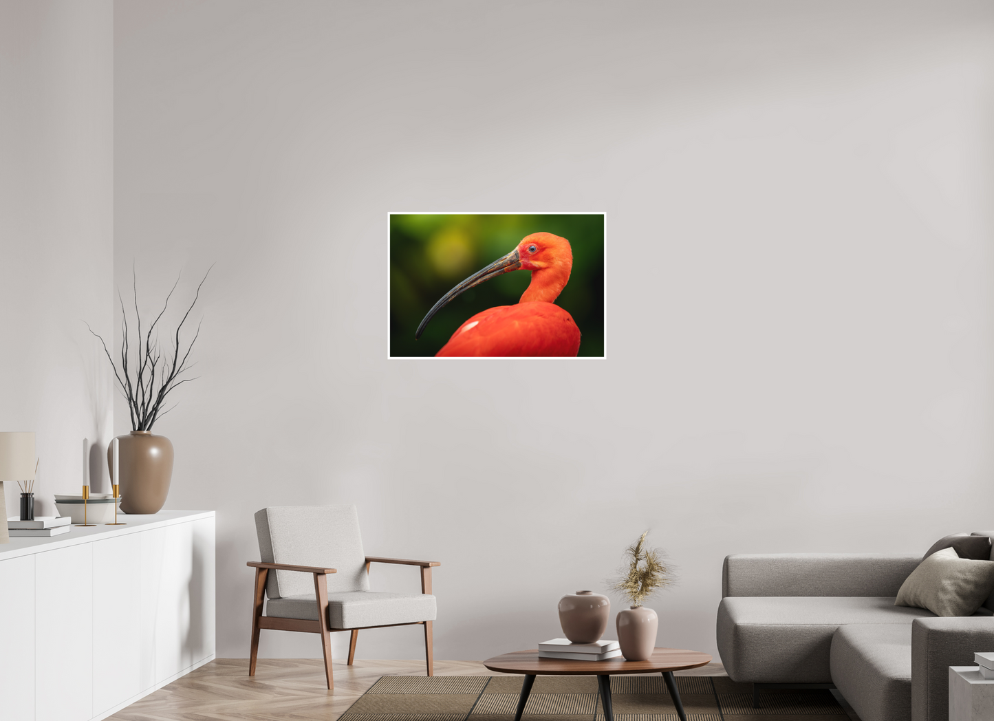 Ibis Rouge | un rouge écarlate