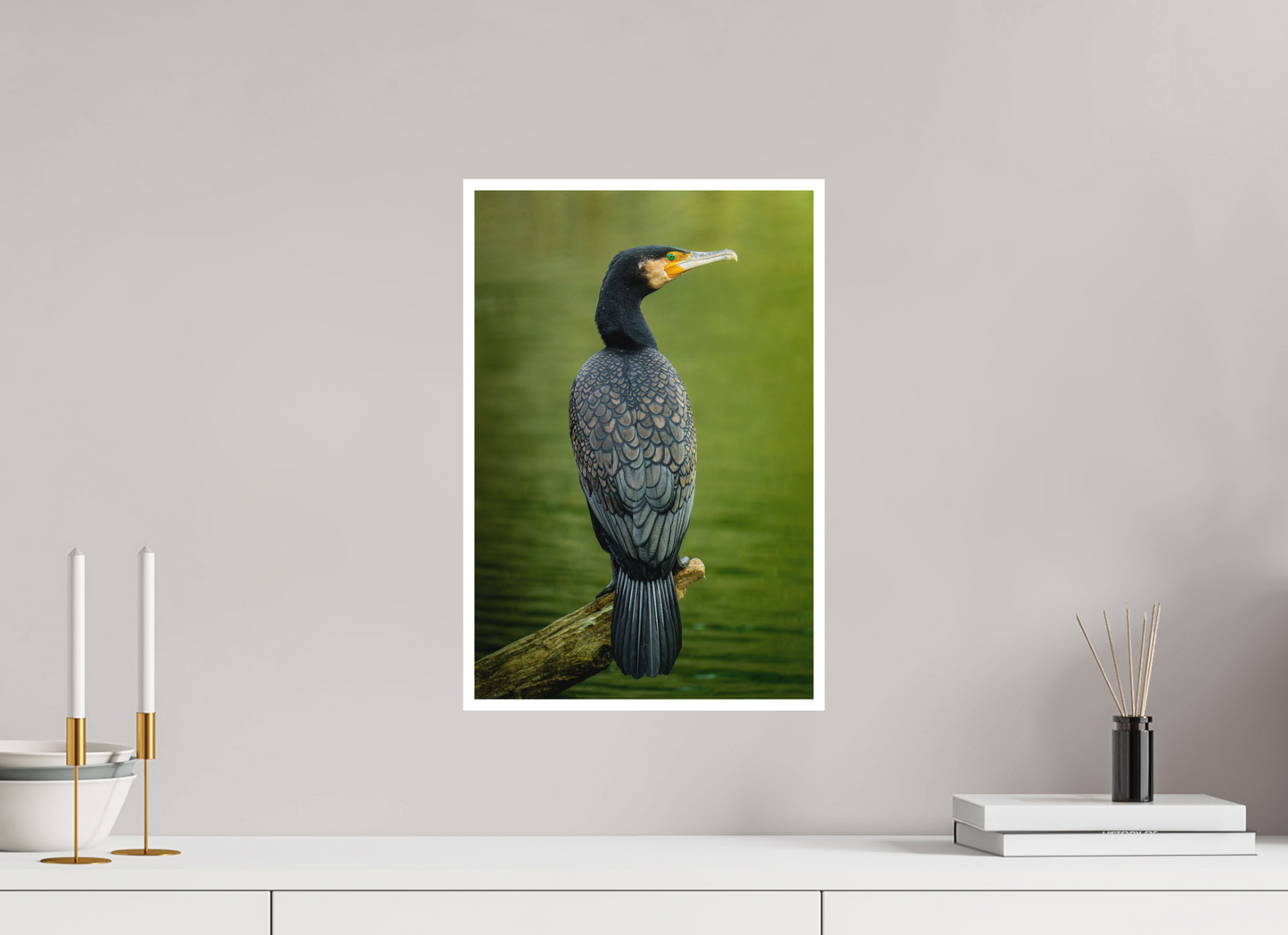 Plumage d'Ardoise