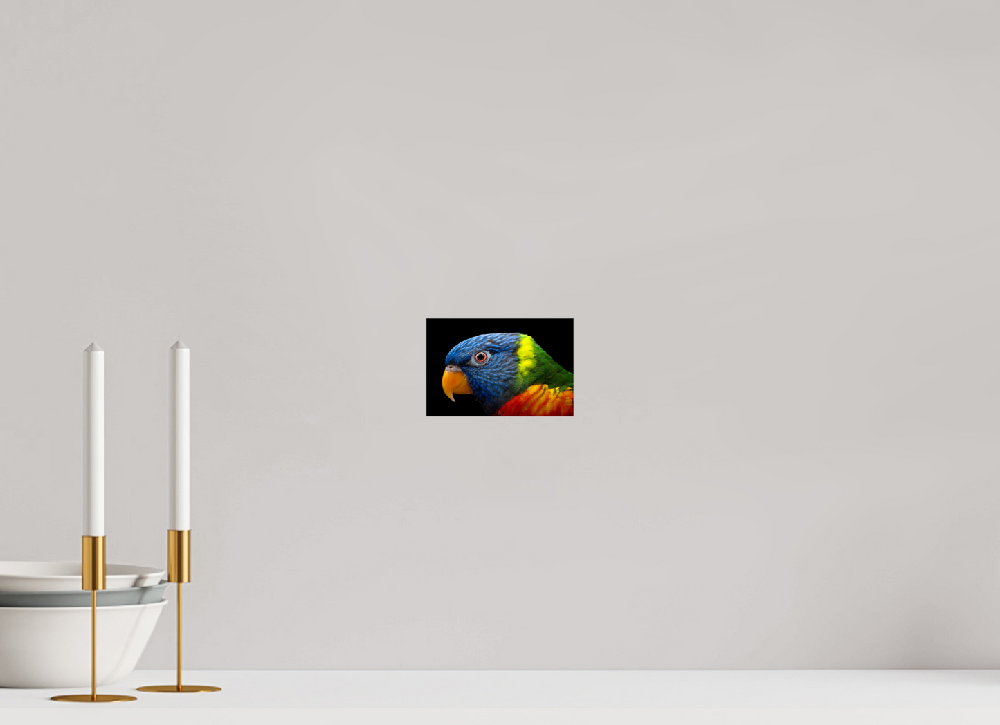 Loriquet arc-en-ciel | l'oiseau multicolore