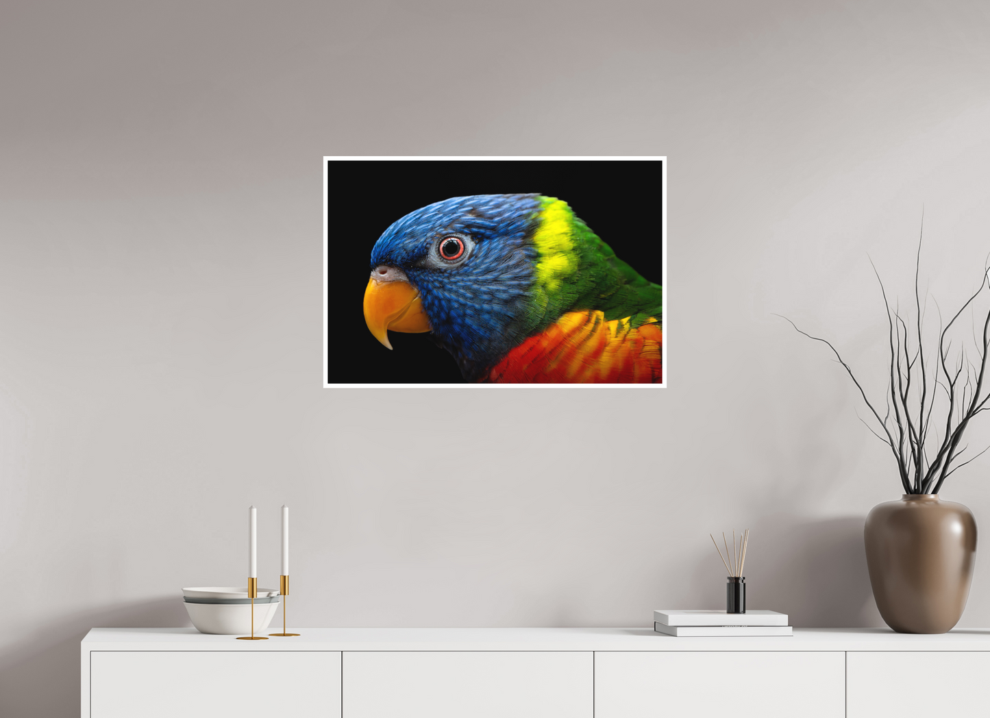 Loriquet arc-en-ciel | l'oiseau multicolore