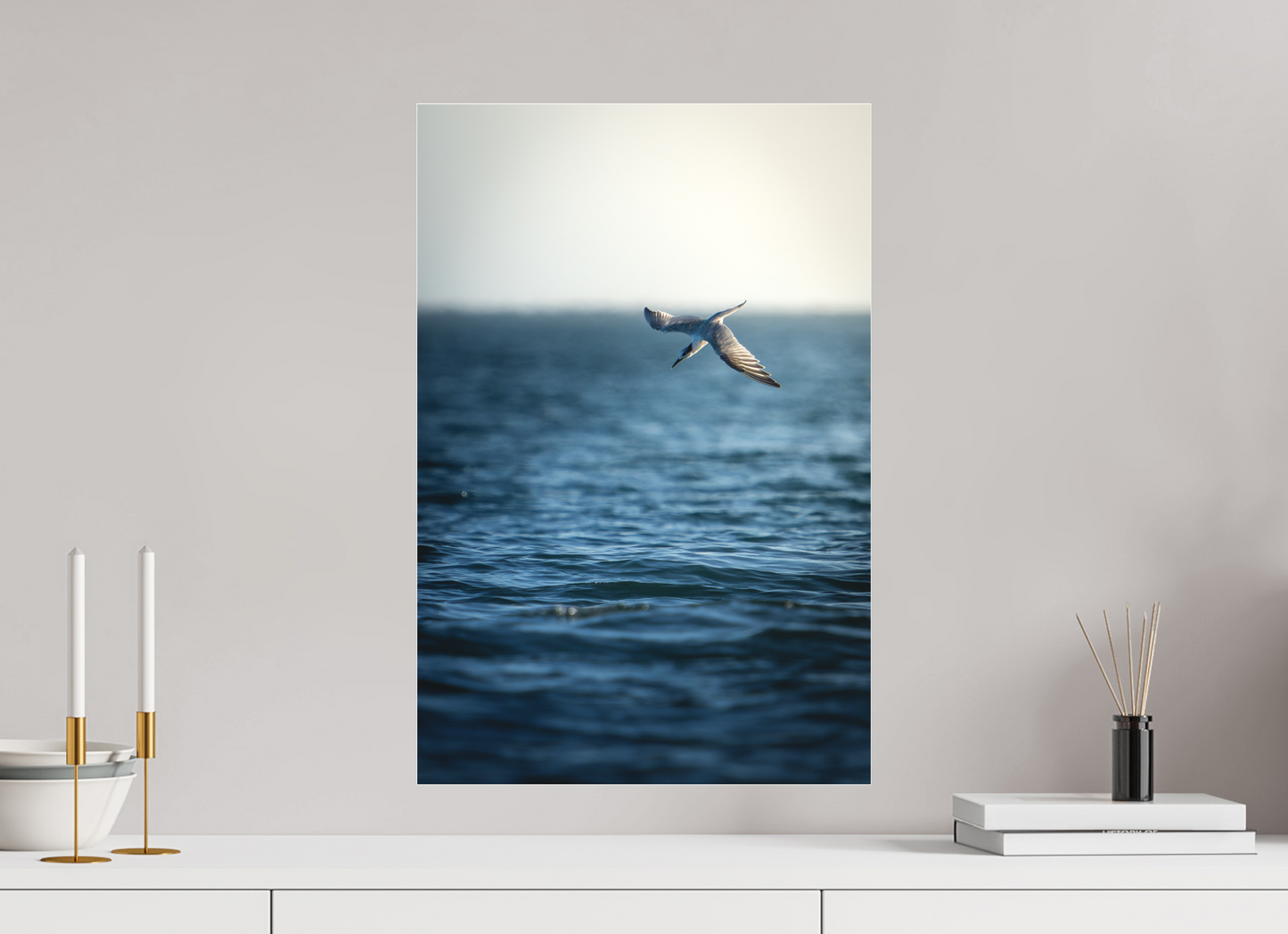 Sterne Caugek | plongeon fulgurant
