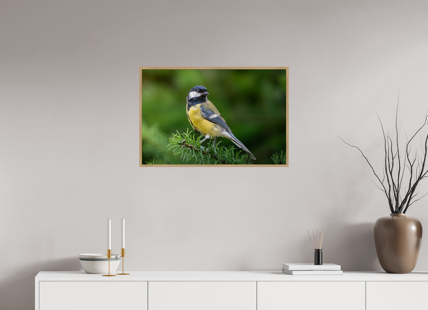 Mésange Charbonnière | la reine des mésanges
