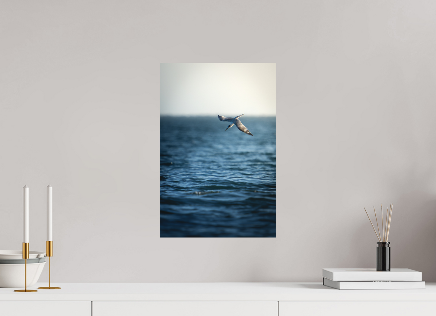 Sterne Caugek | plongeon fulgurant