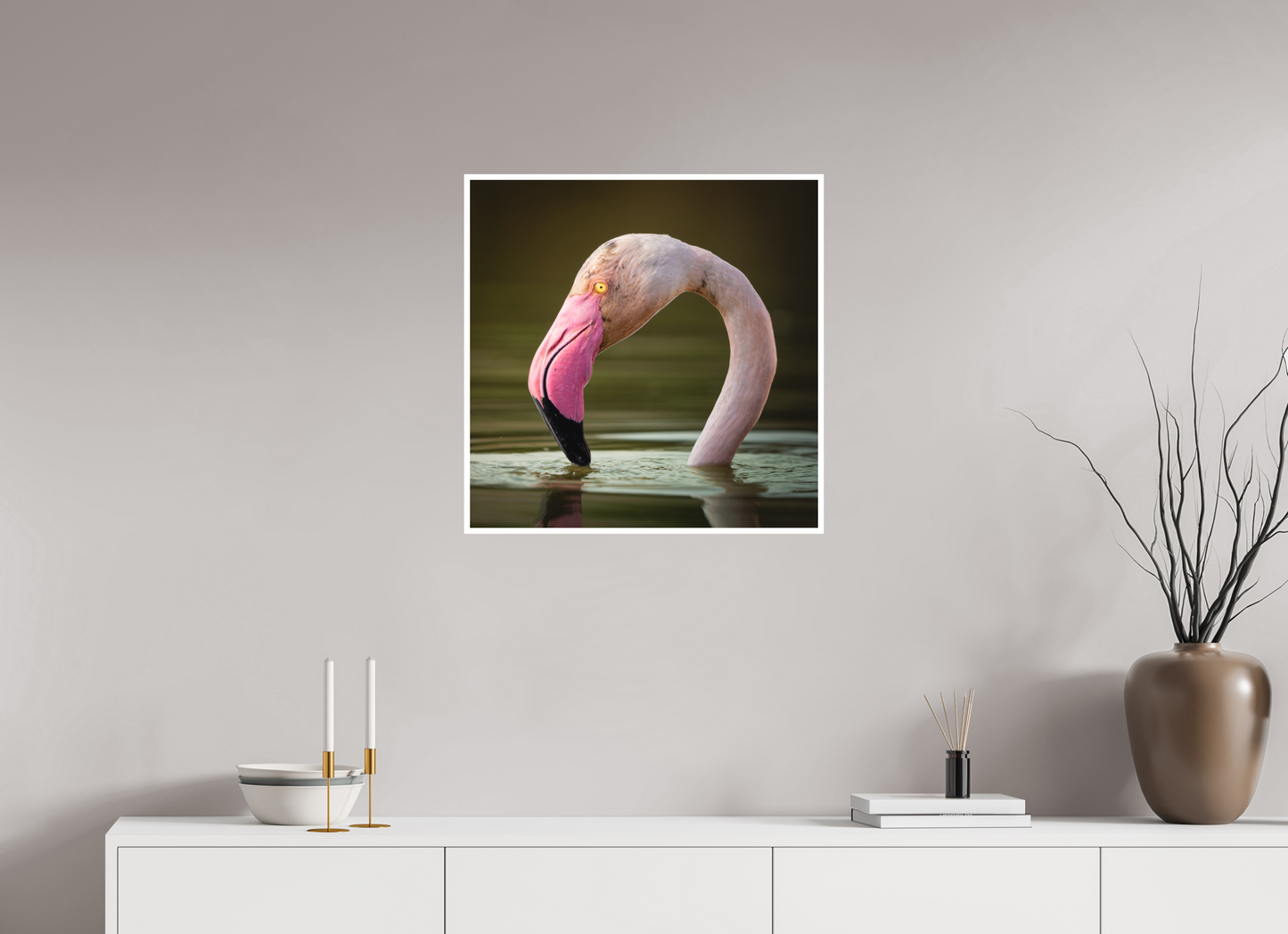 Flamant Rose | le flamant d'eau