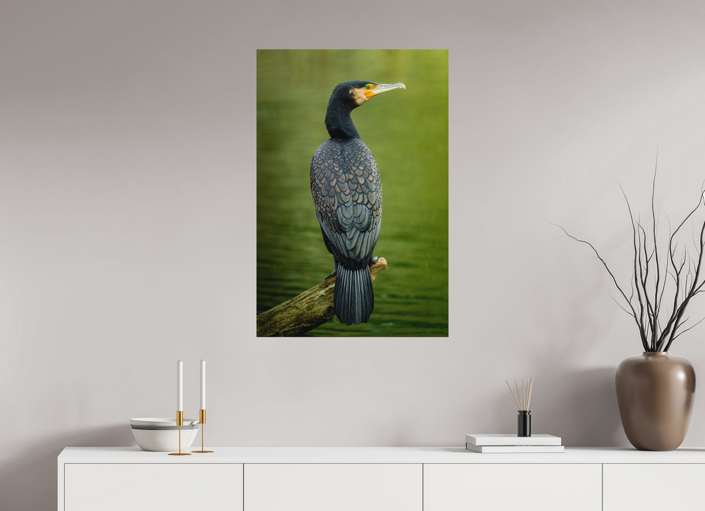 Plumage d'Ardoise