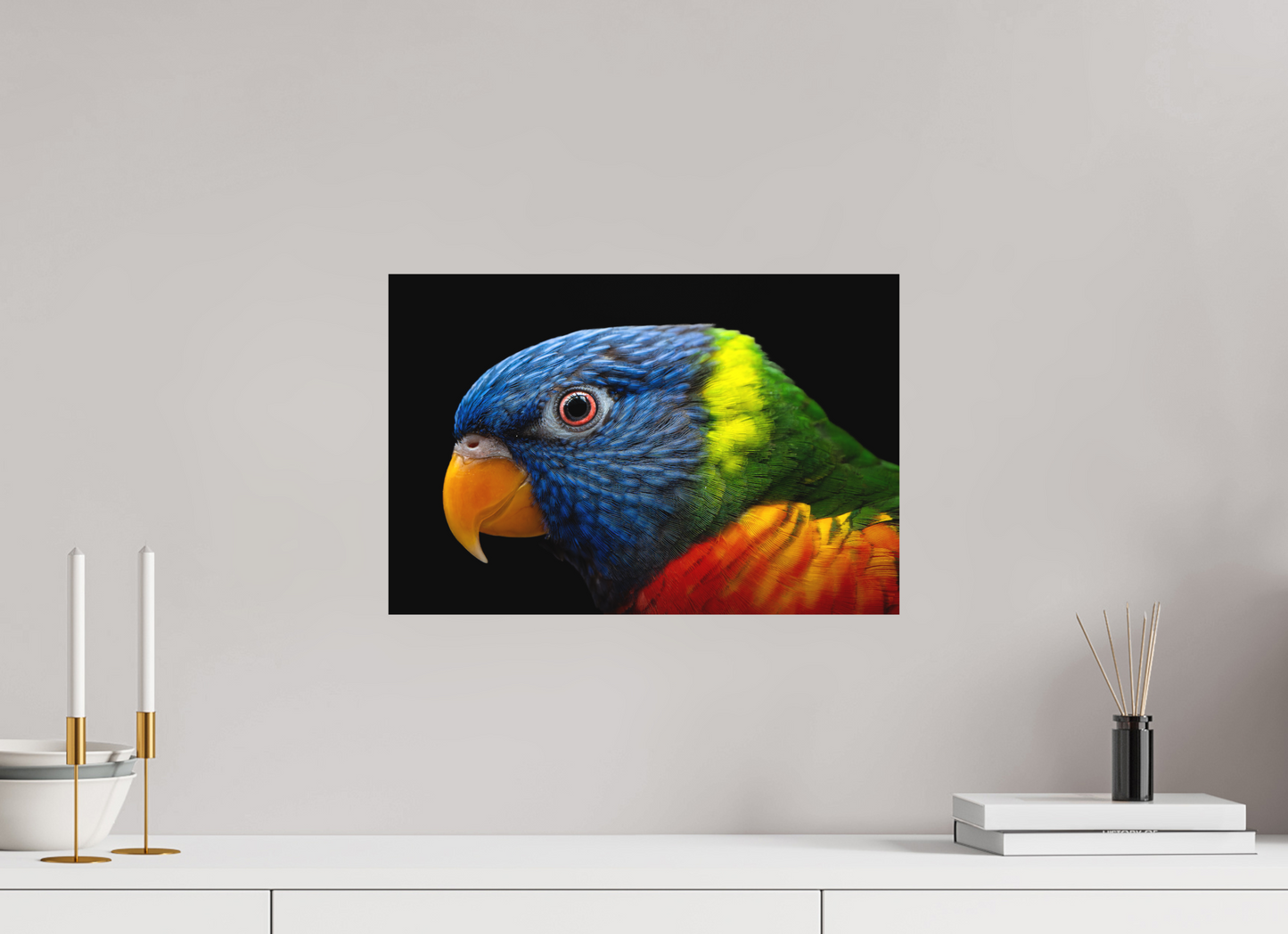 Loriquet arc-en-ciel | l'oiseau multicolore