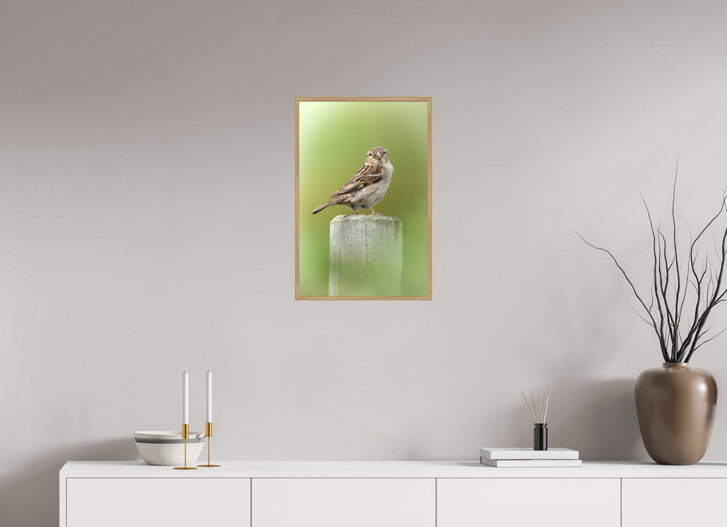 Moineau domestique | un regard mignon