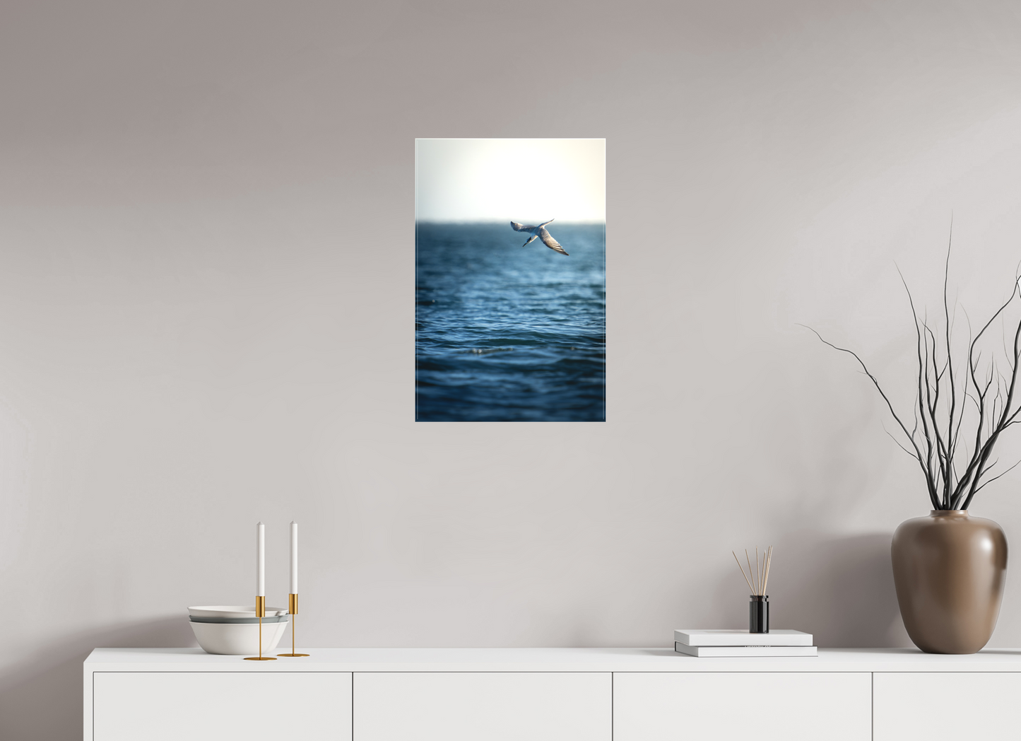 Sterne Caugek | plongeon fulgurant