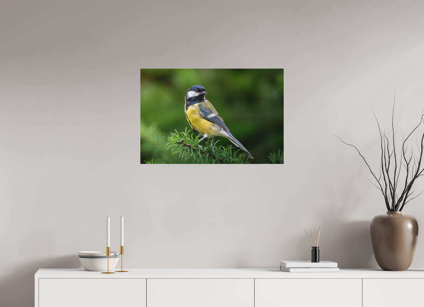 Mésange Charbonnière | la reine des mésanges