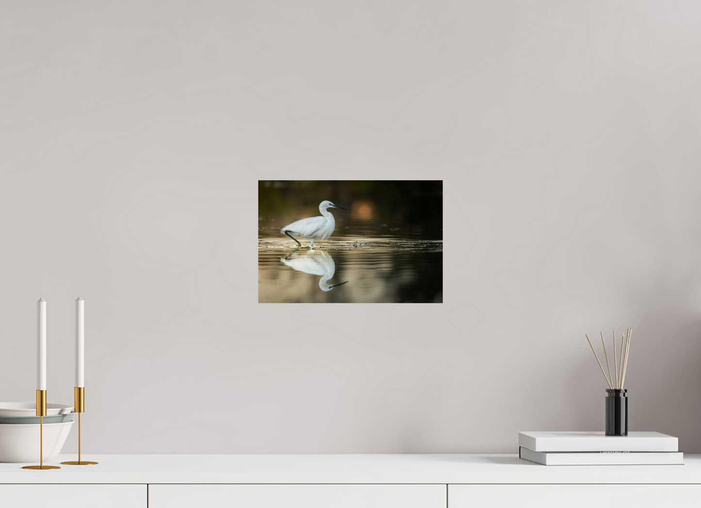 Aigrette Garzette | un reflet parfait