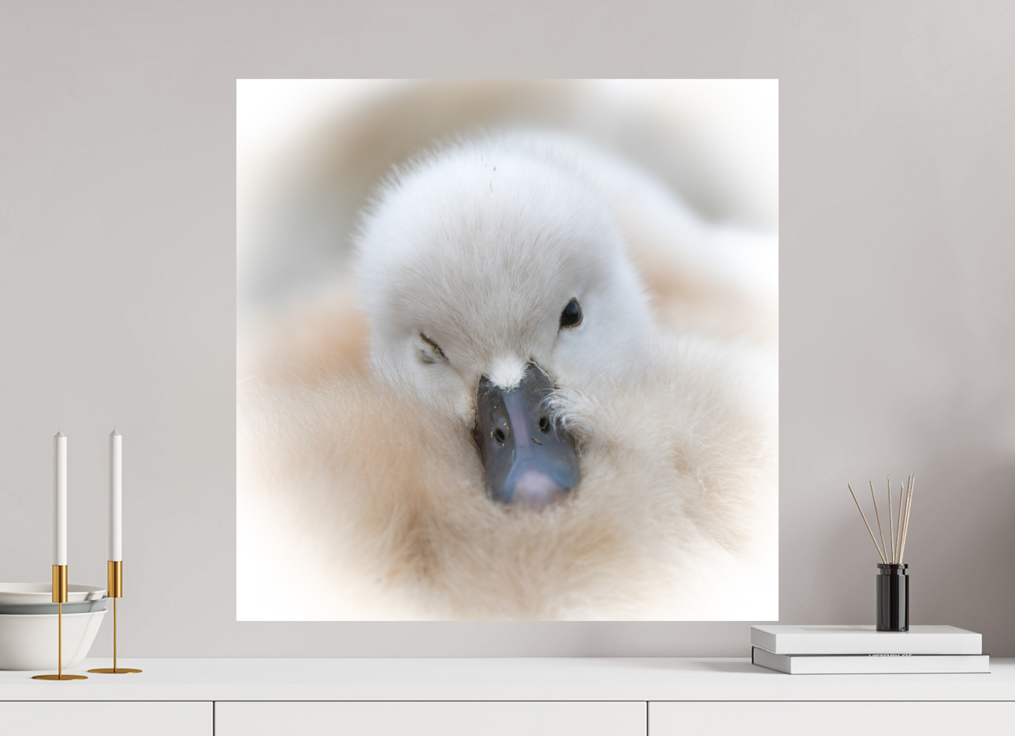 60 x 60 cm, Alu Dibond Un Clin d’Œil