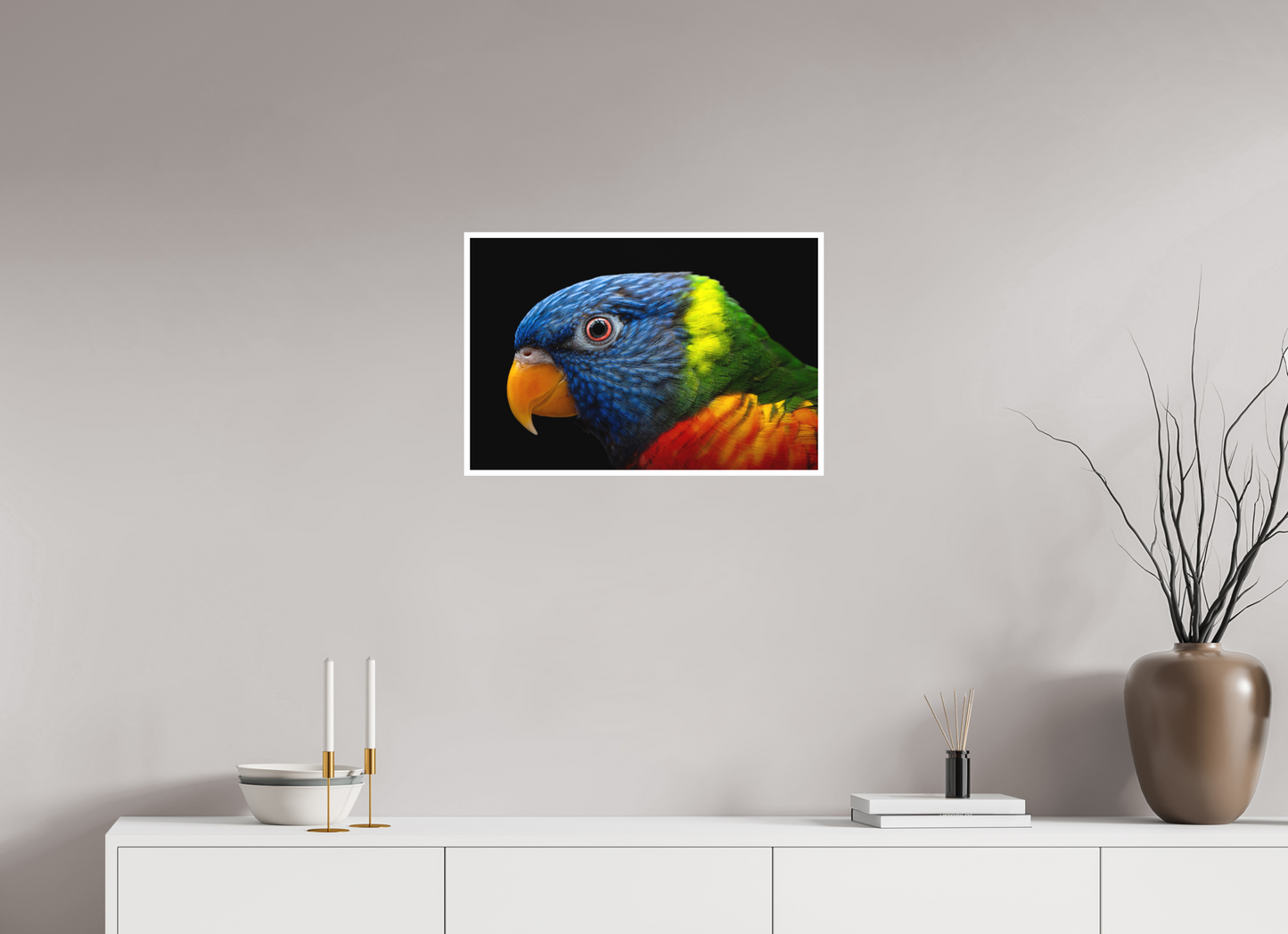 Loriquet arc-en-ciel | l'oiseau multicolore