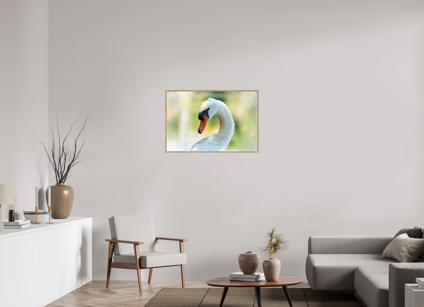 Cygne tuberculé | un doux portrait