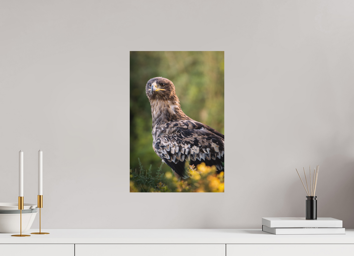 30 x 45 cm, Alu Dibond Roi des Steppes