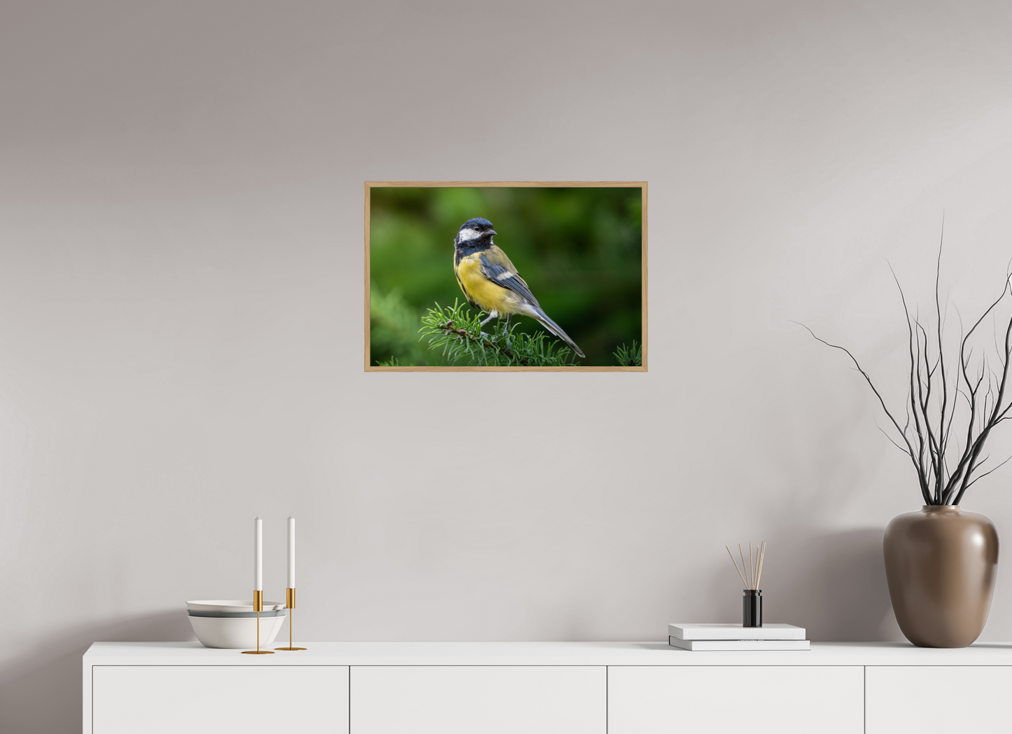 Mésange Charbonnière | la reine des mésanges