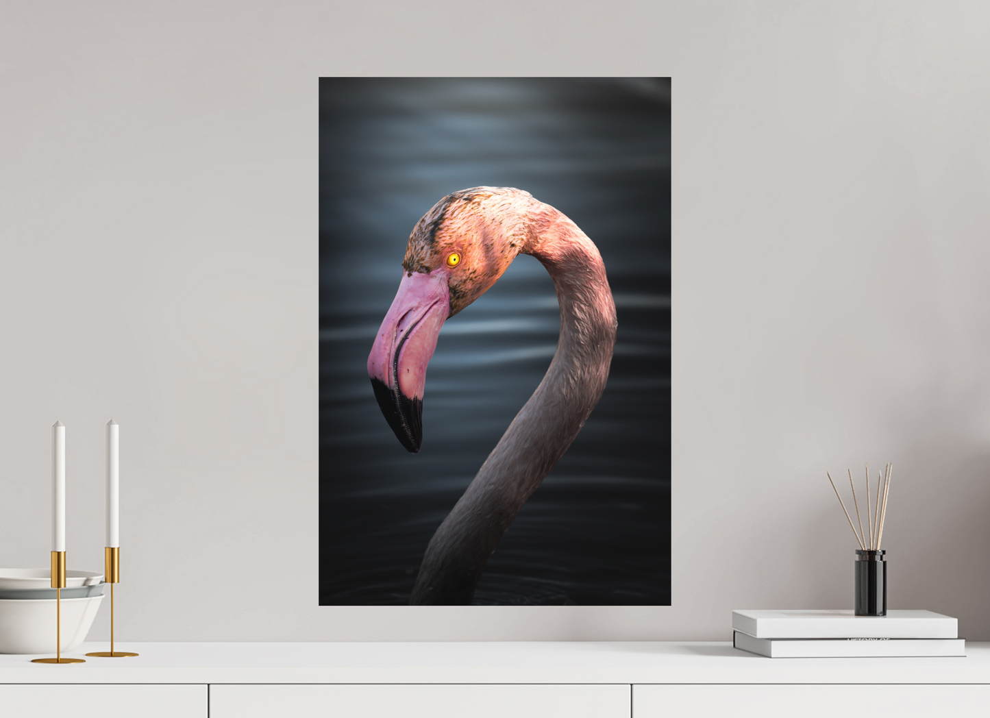 Flamant Rose | un regard menaçant