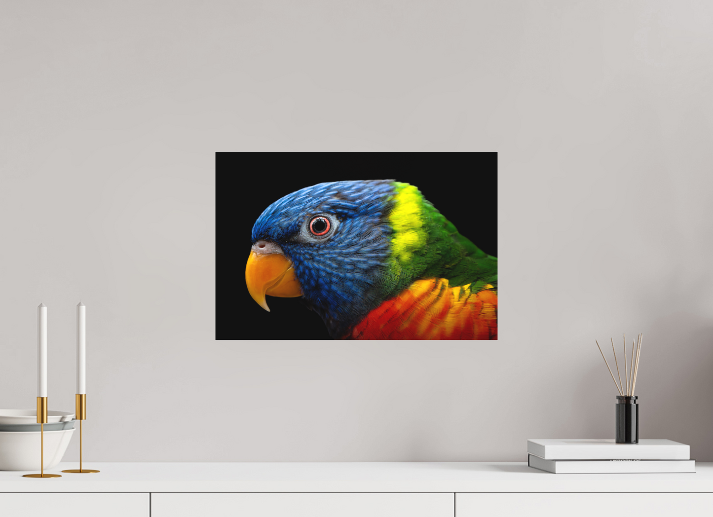 Loriquet arc-en-ciel | l'oiseau multicolore