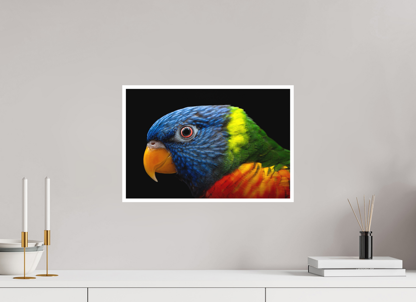Loriquet arc-en-ciel | l'oiseau multicolore