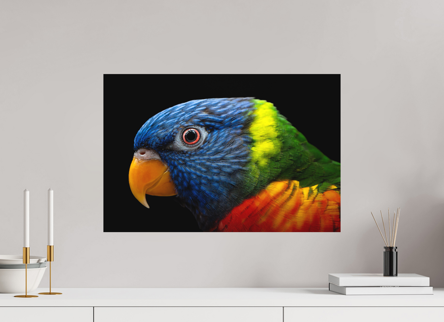 Loriquet arc-en-ciel | l'oiseau multicolore