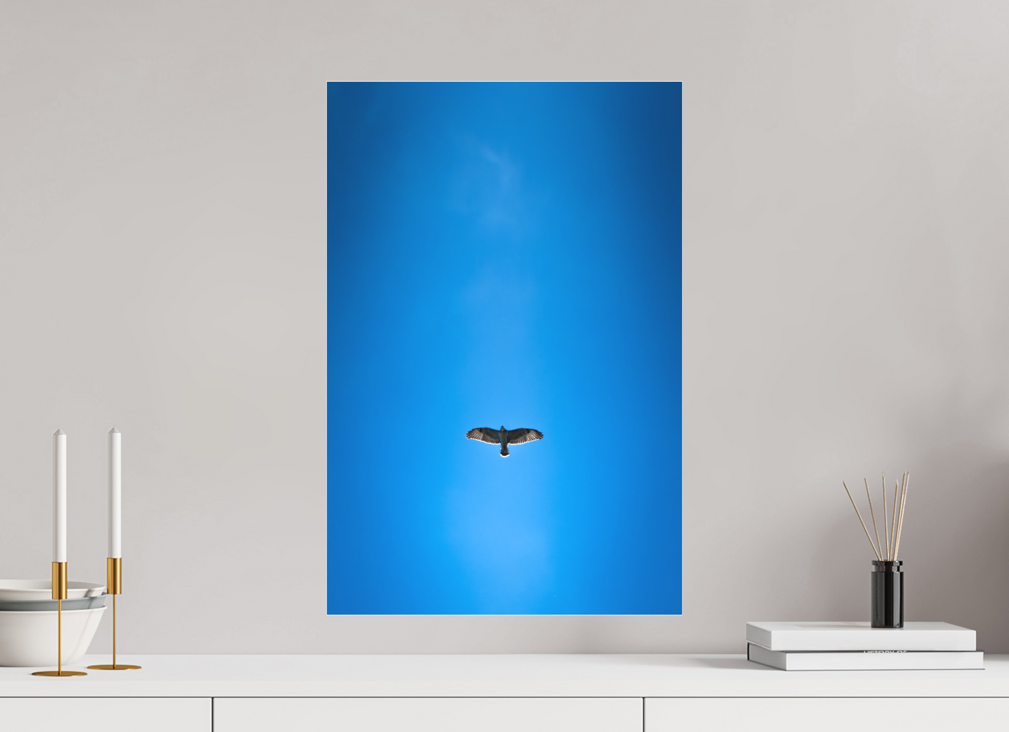 Buse variable | solitude aérienne
