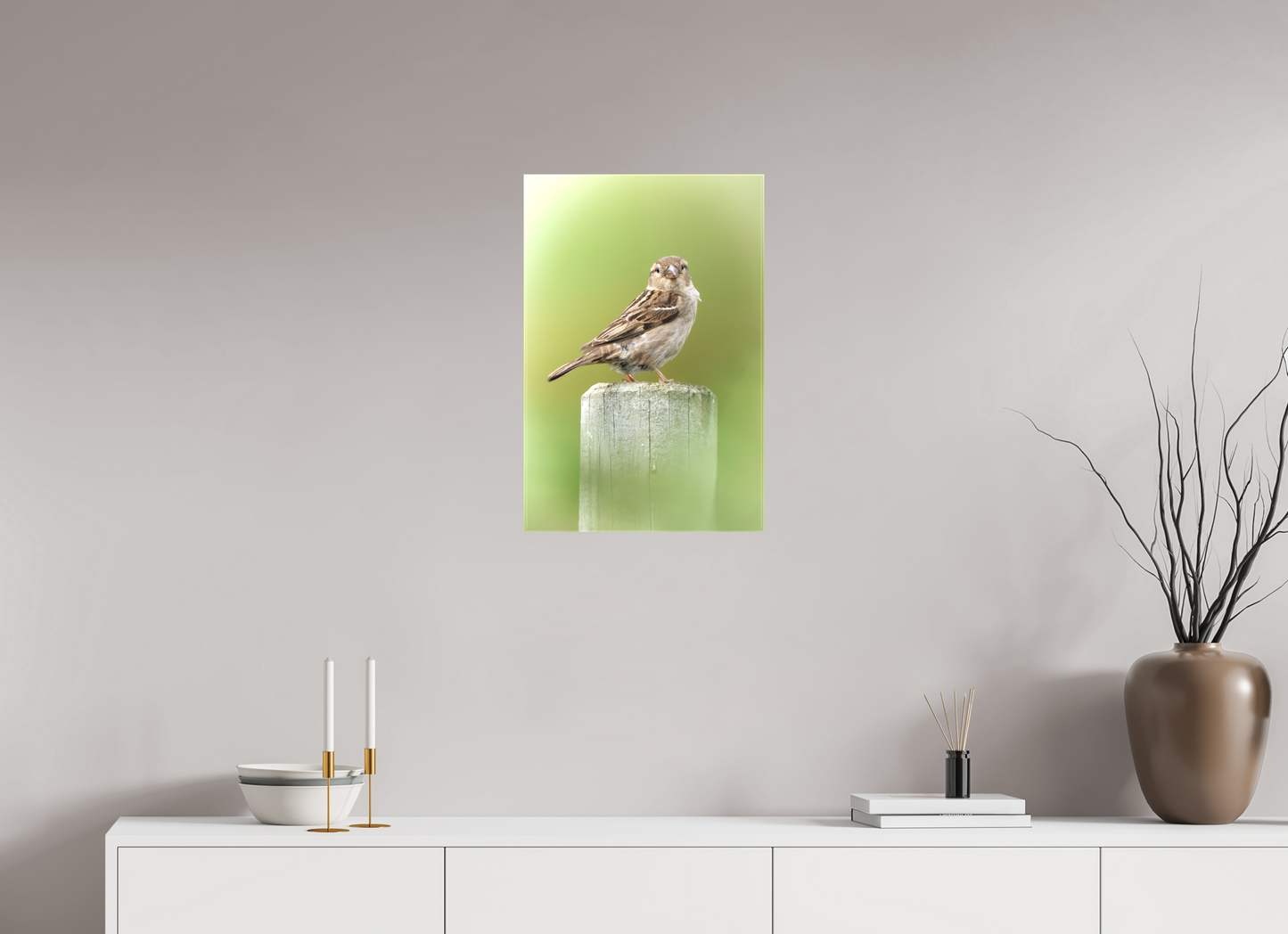 Moineau domestique | un regard mignon