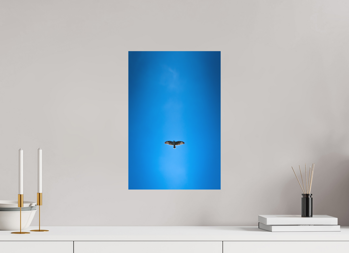 Buse variable | solitude aérienne