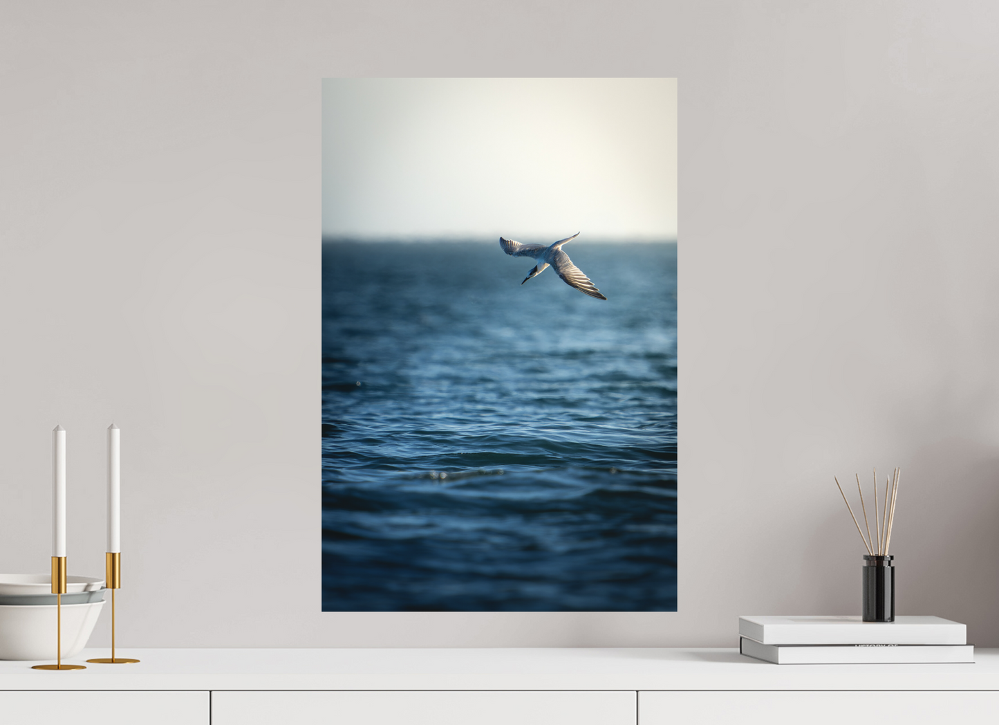 Sterne Caugek | plongeon fulgurant