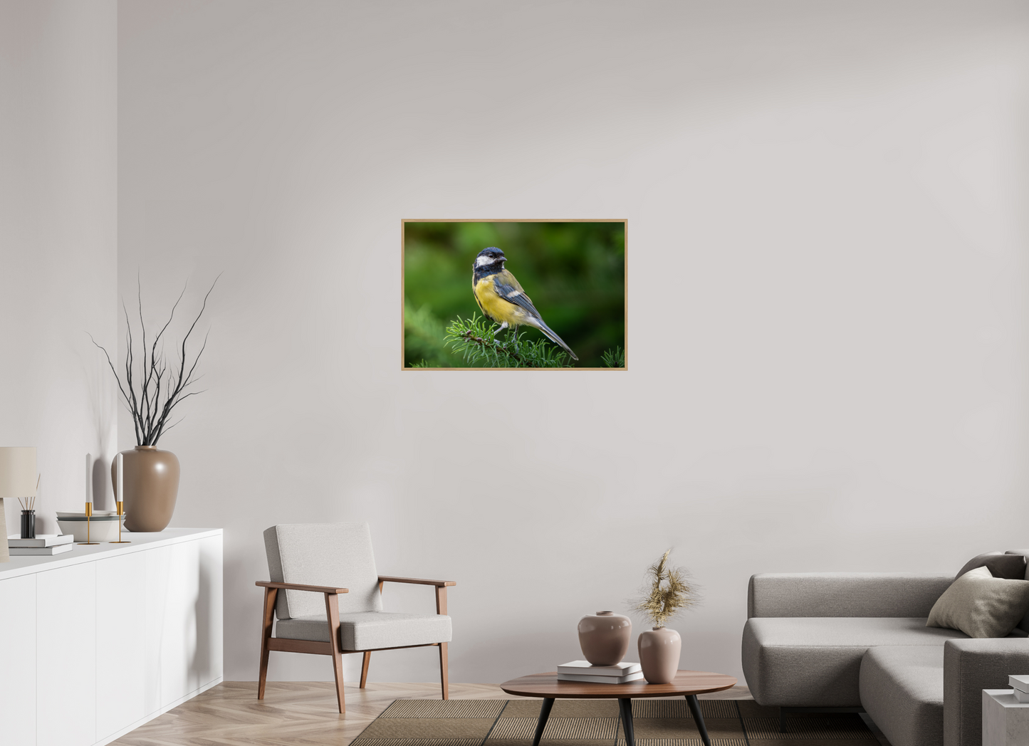 Mésange Charbonnière | la reine des mésanges