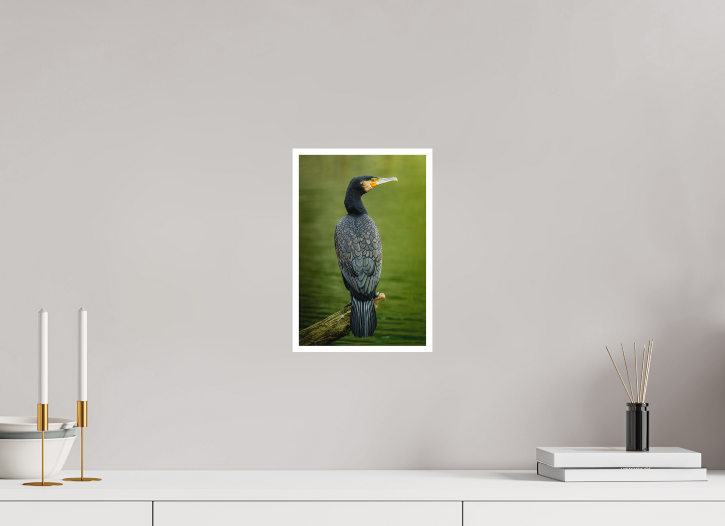 Plumage d'Ardoise