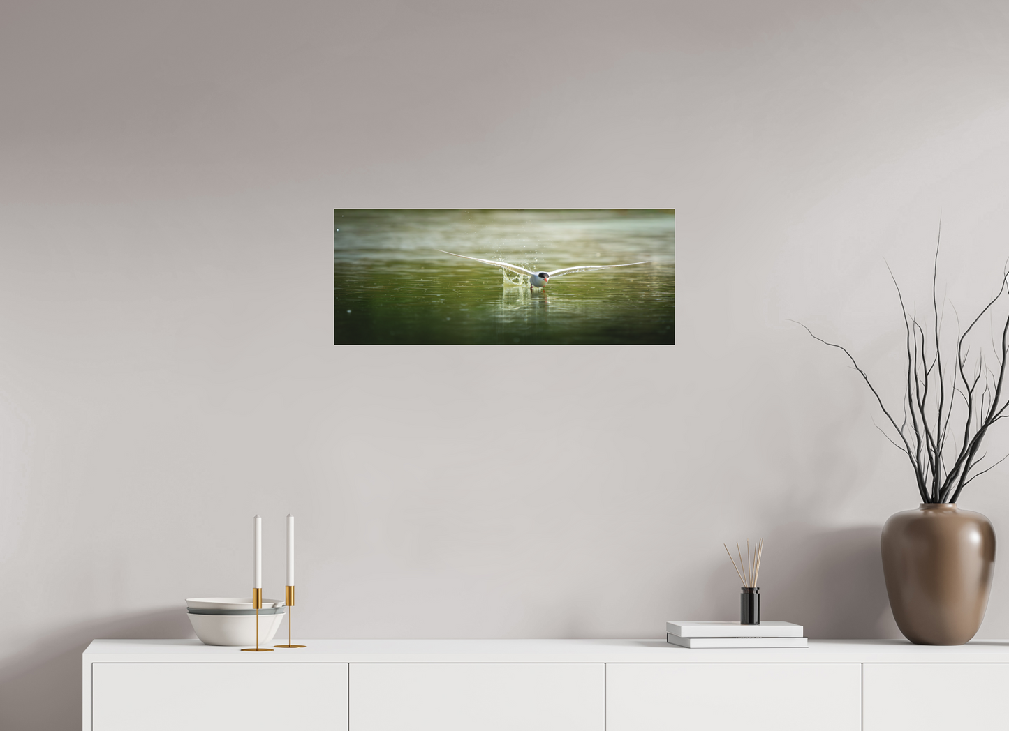 Sterne Pierregarin | chasse en surface
