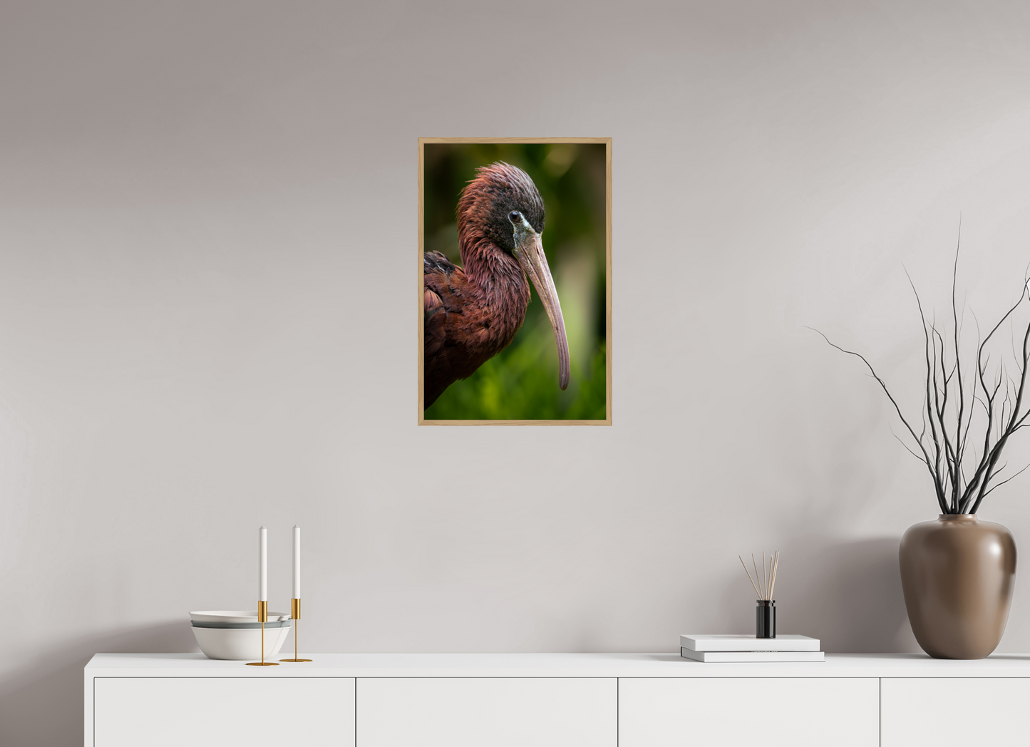 Ibis Falcinelle | un long bec courbé