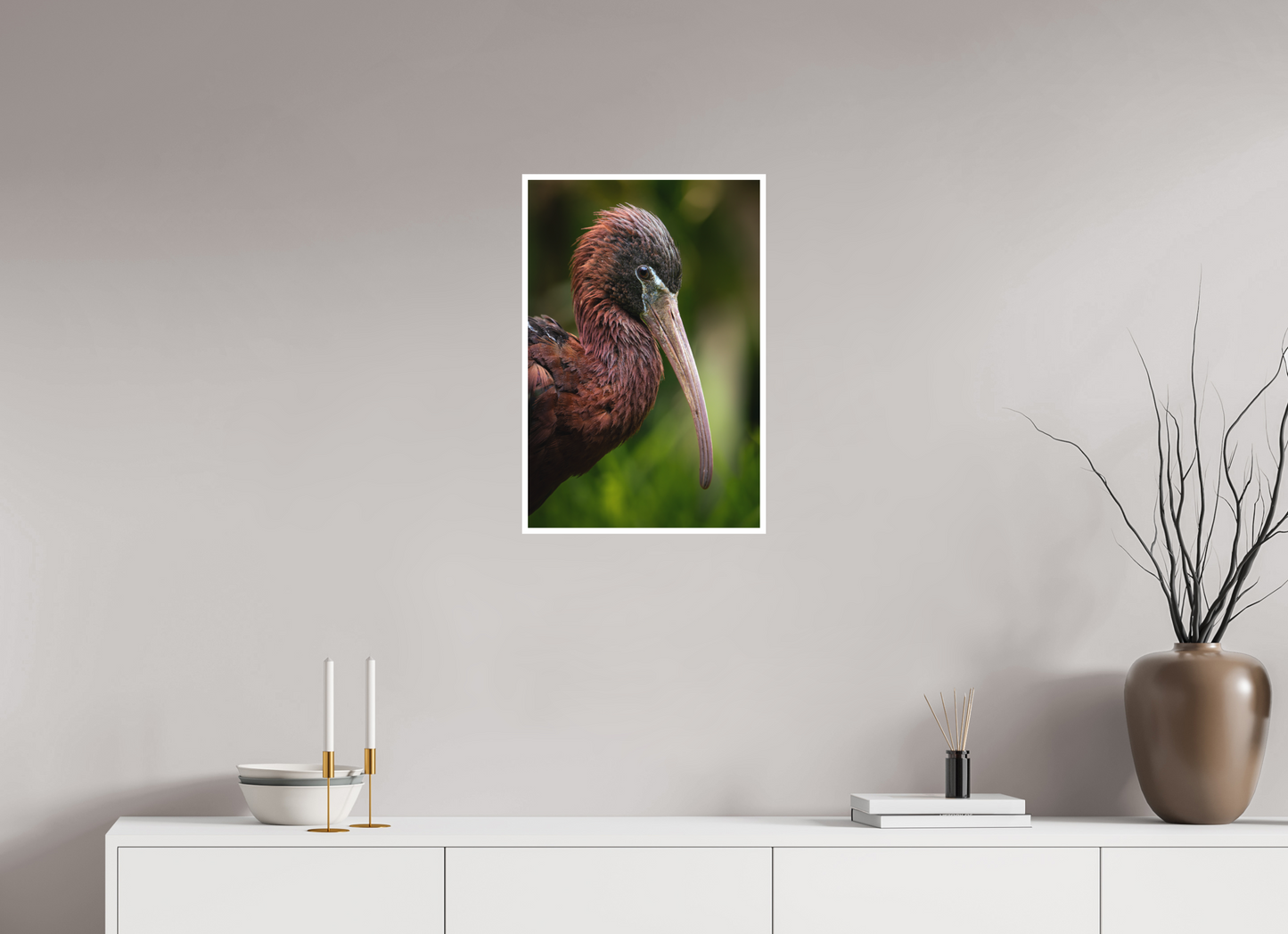 Ibis Falcinelle | un long bec courbé