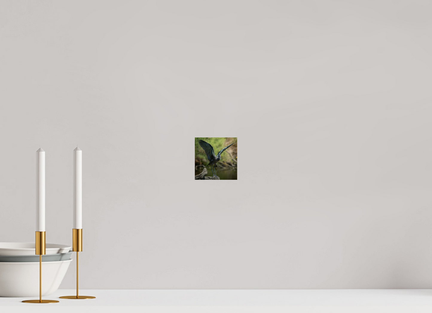 Ibis Falcinelle | cuivre absolu