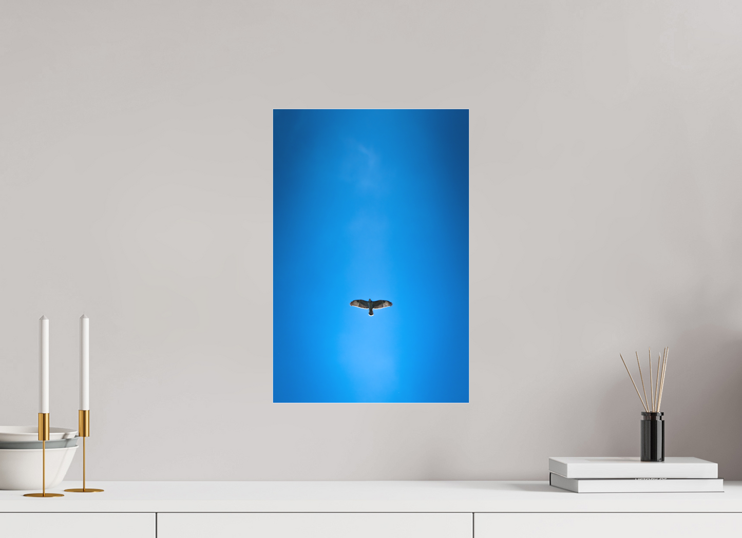 Buse variable | solitude aérienne