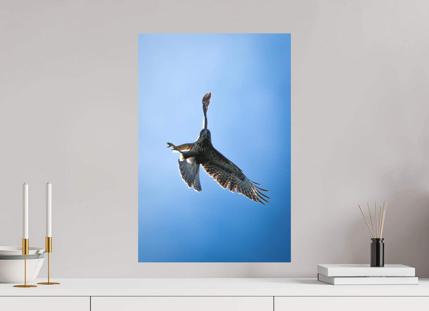 Buse variable | l’œil du ciel