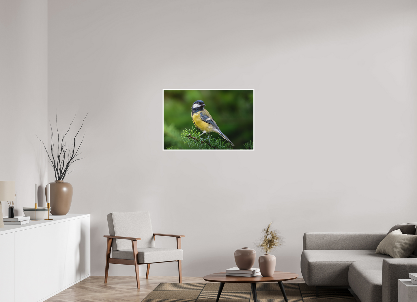 Mésange Charbonnière | la reine des mésanges