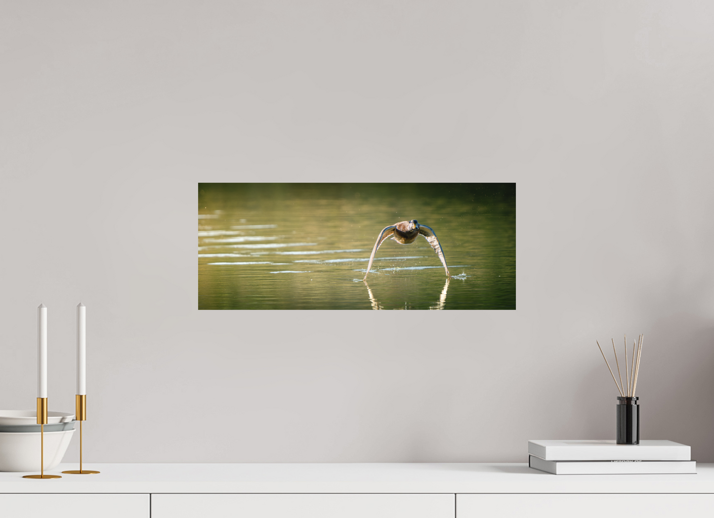 canard Colvert | tel un catamaran