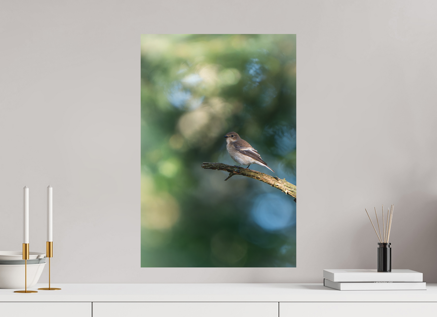40 x 60 cm, Alu Dibond Âme Perchée