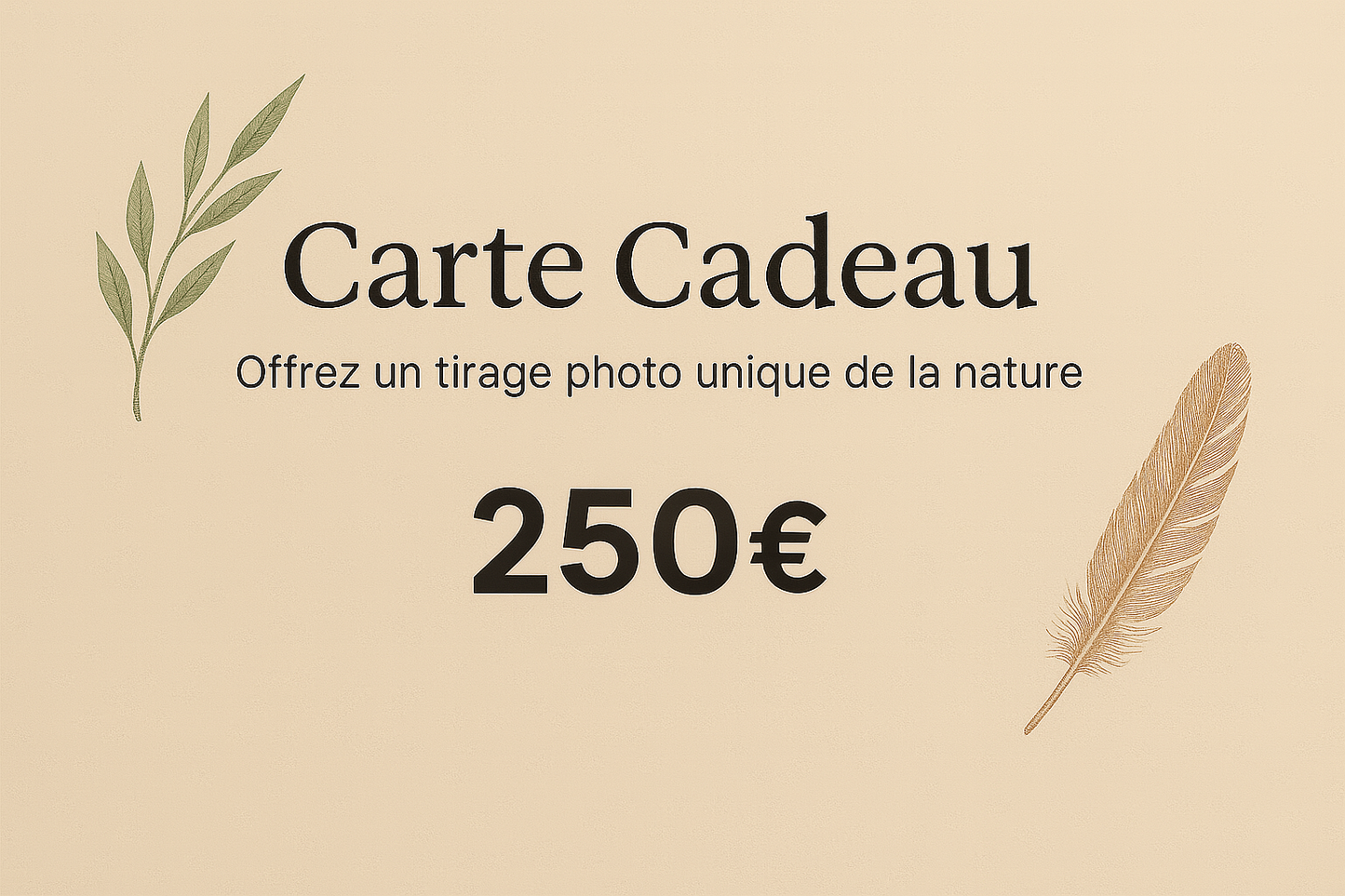 Carte Cadeau