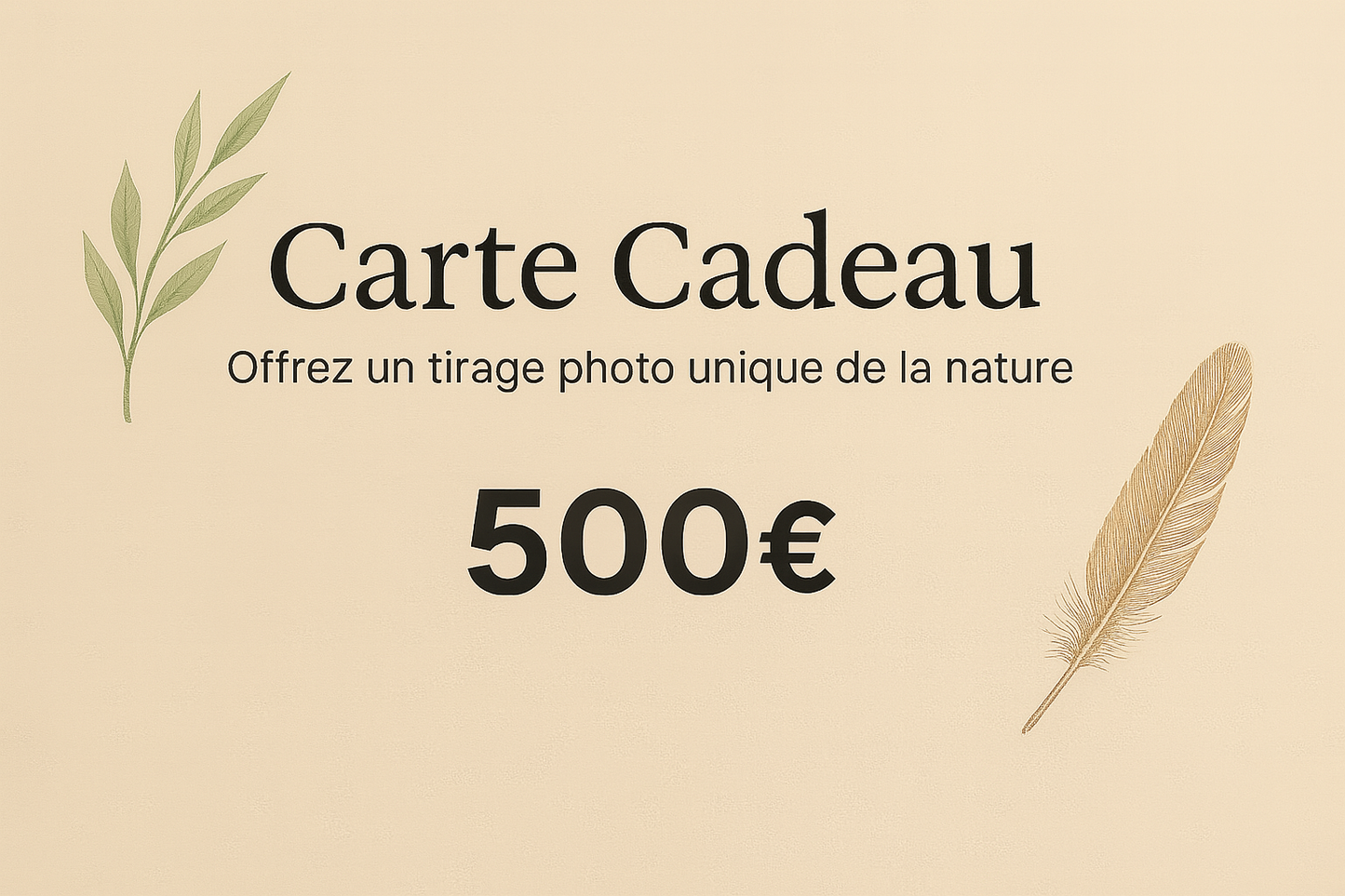 Carte Cadeau