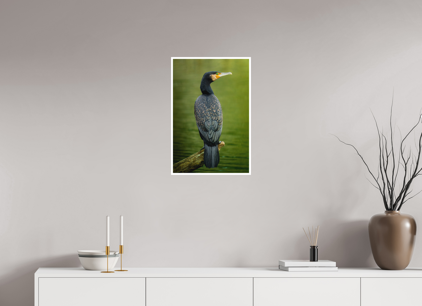 Plumage d'Ardoise