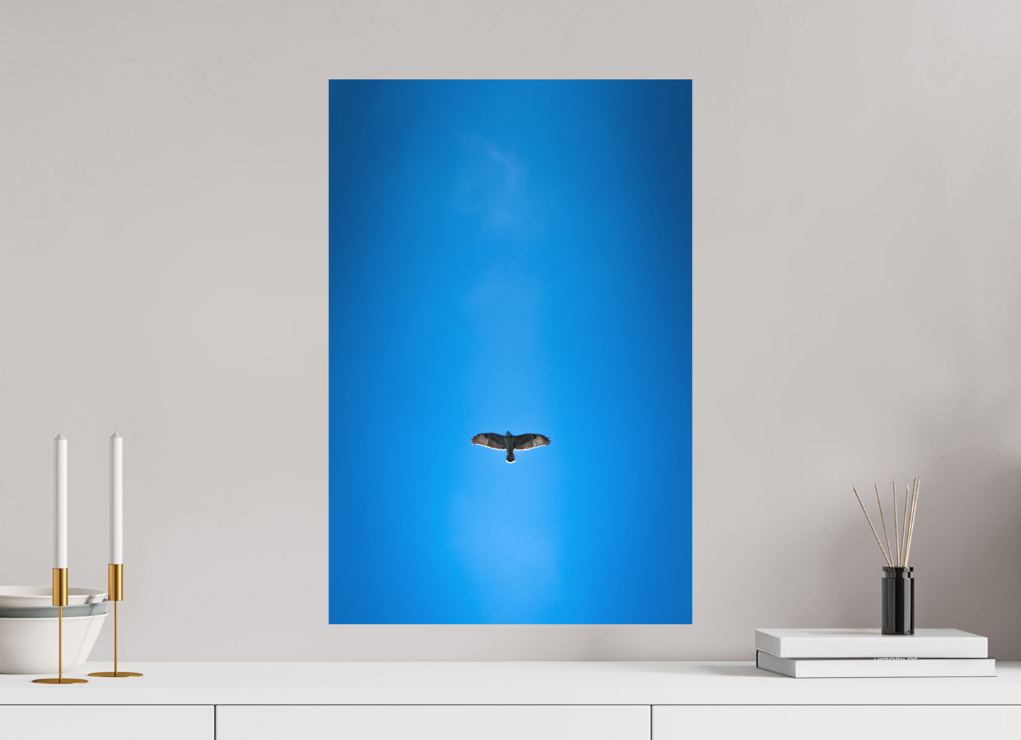 Buse variable | solitude aérienne