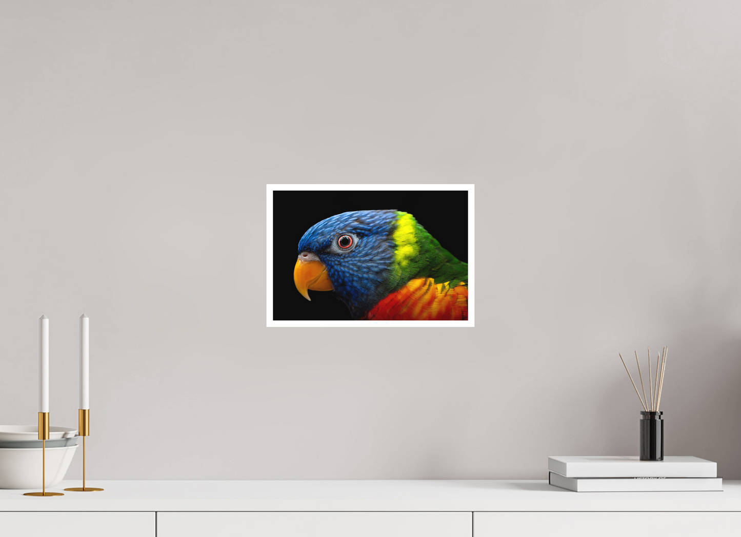 Loriquet arc-en-ciel | l'oiseau multicolore